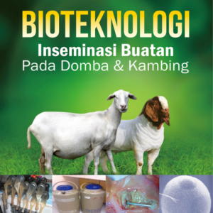 Bioteknologi Inseminasi Buatan pada Domba dan…
