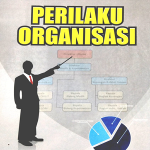 Perilaku Organisasi