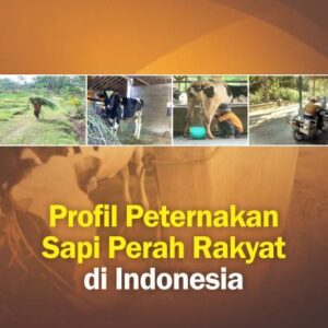 Profil Peternakan  Sapi Perah Rakyat di…