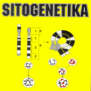 Sitogenetika