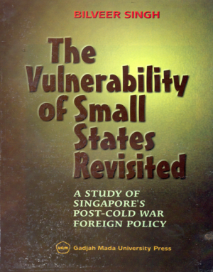 The Vulnerability of Small States Revisited