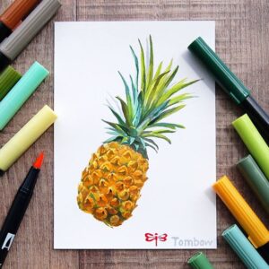 Dual Brush Pen Tombow Art Special Color