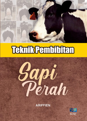 Teknik Pembibitan Sapi Perah
