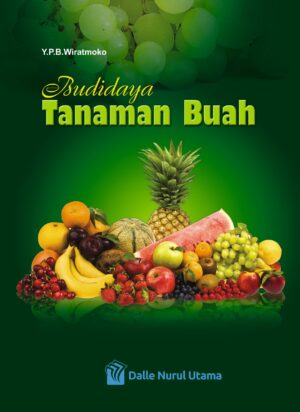 Budidaya Tanaman Buah