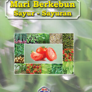 Mari Berkebun Sayur-Sayuran