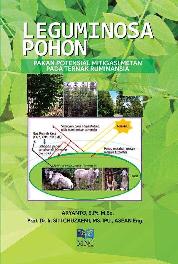Leguminosa Pohon