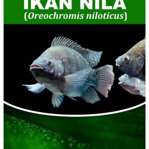 Ikan Nila (Oreochromis niloticus)