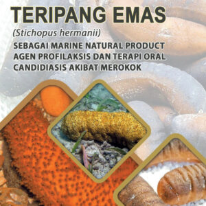 TERIPANG EMAS (Stichopus Hermanii)