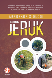 Agroekofisiologi kebun jeruk