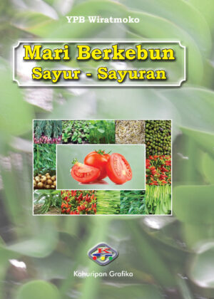 Mari Berkebun Sayur-Sayuran
