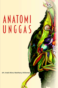 Anatomi Unggas