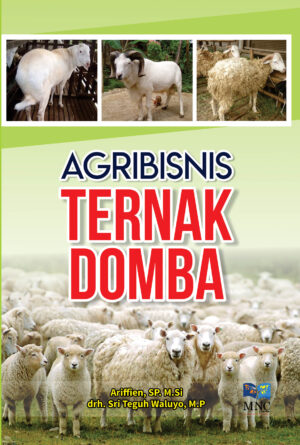 Agribisnis Ternak Domba