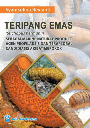 TERIPANG EMAS (Stichopus Hermanii)